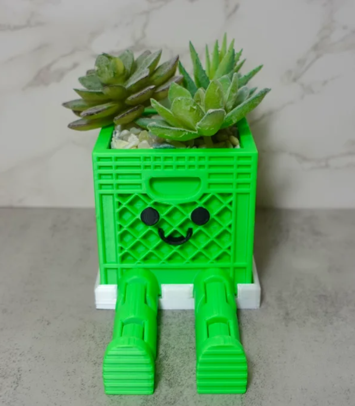 Macetas Decorativas con Diseño 3D